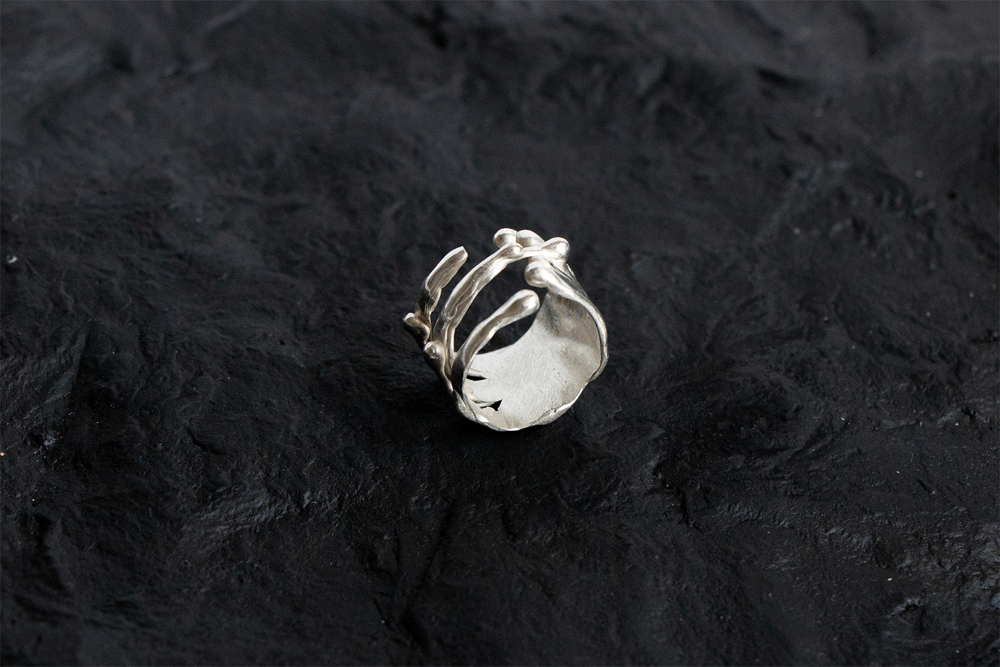 Organic Ring 002